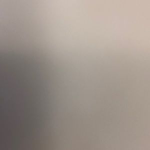 Meet your Posher, Molly